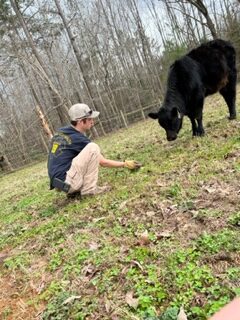 Young farmer tending to a black calf in a grassy field surrounded by trees, showcasing sustainable farming practices and animal care.