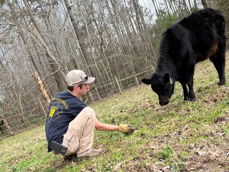 Young farmer kneeling in a grassy field, interacting with a black cow, surrounded by trees and a fence in the background. The scene depicts agricultural life and livestock care.