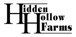 Silhouette of a truck with a streamlined design, showcasing its cargo area and profile, ideal for logistics and transportation themes.
